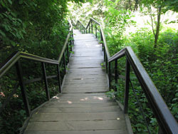 ������ ������� � ���������