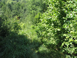 ������ ������� � ���������