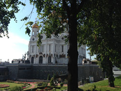 ���� ������ ���������